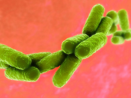 close up of rod shaped bacteria