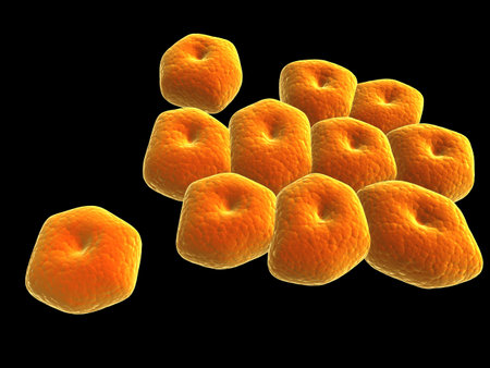 close up of some isolated acinetobacter bacteria