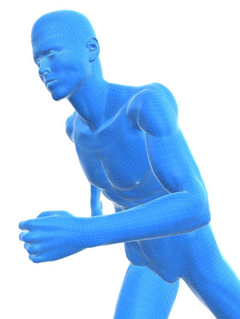 jogger - wireframe の写真素材