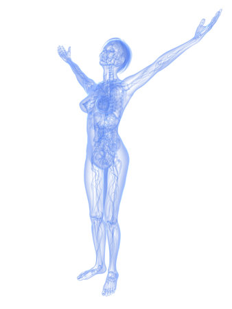 transparent female bodyの写真素材