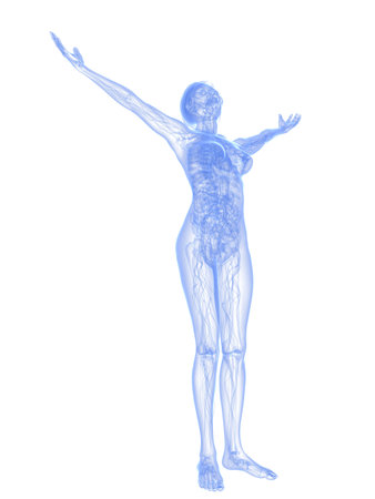 transparent female bodyの写真素材