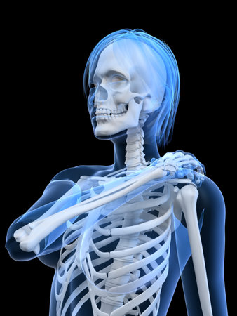 female skeleton with painful shoulderの写真素材