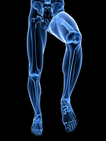 transparent legs with healthy jointsの写真素材