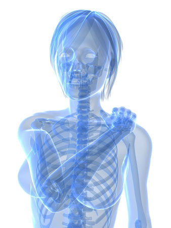 female skeleton with painful shoulderの写真素材