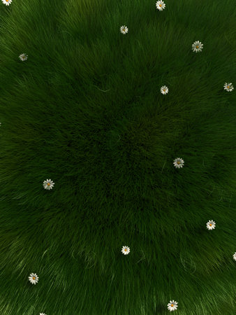 grassland illustration の写真素材