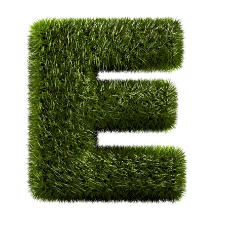 grass alphabet - Eの写真素材