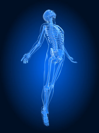 rising body - x-ray rising body - x-ray