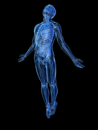 rising body - x-ray rising body - x-ray