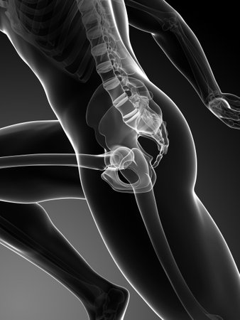3d rendered illustration - runner anatomyの写真素材