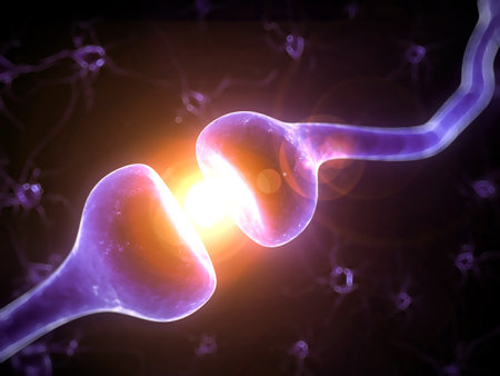 3d rendered illustration of a human receptor