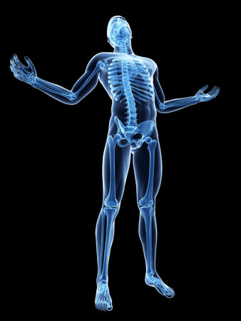 male posing - visible skeletonの写真素材