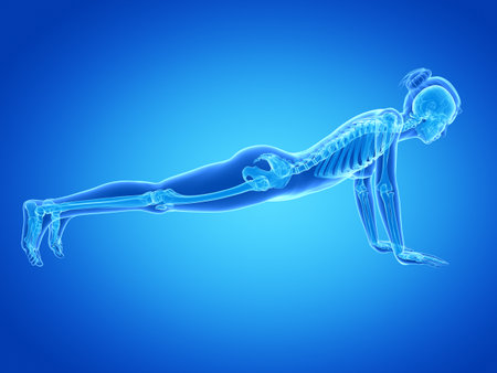 medical 3d illustration - woman doing pushupsの写真素材