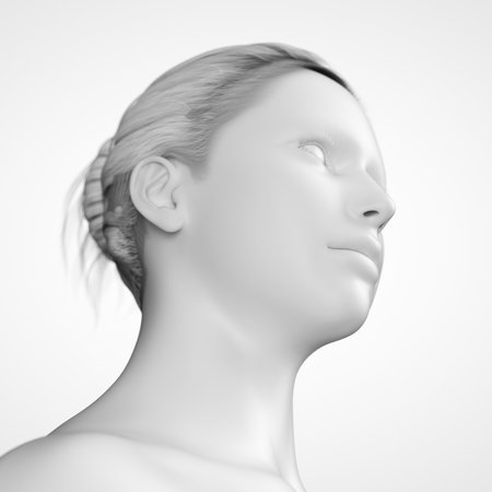 grey female - headの写真素材