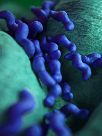 medical bacteria illustration of the campylobacterの写真素材