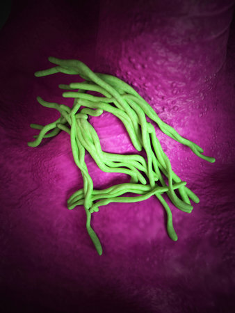 medical bacteria illustration of the legionella