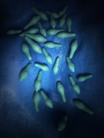 medical bacteria illustration of the clostridiumの写真素材