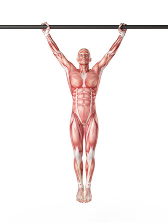exercise illustration - wide grip pull ups