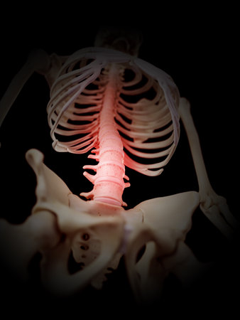 medically accurate illustration - painful spineの写真素材