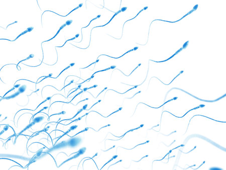 medically accurate illustration of human spermsの写真素材