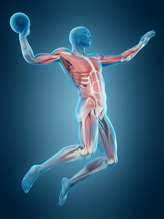 medically accurate 3d illustration of a football playerの写真素材