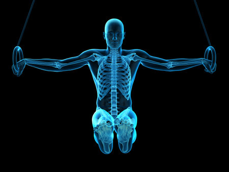 medically accurate 3d illustration of a human athleteの写真素材
