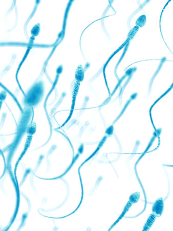 medically accurate 3d illustration of the human spermsの写真素材
