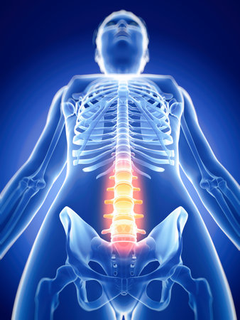 medically accurate 3d illustration of the painful spine