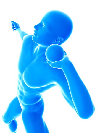 3d rendered medically accurate illustration of shot putterの写真素材