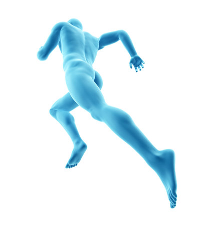 3d rendered medically accurate illustration of runnerの写真素材