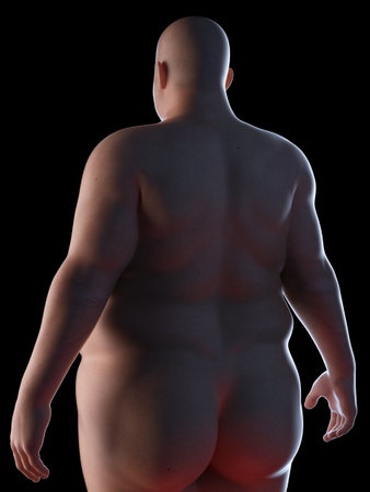 3d rendered, medically accurate illustration of an obese manの写真素材