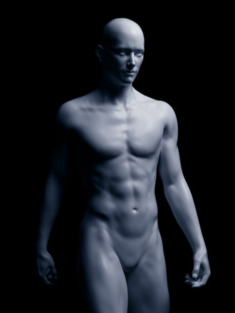 3d rendered medically accurate illustration of the human bodyの写真素材