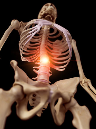 3d rendered medically accurate illustration of a painful spineの写真素材