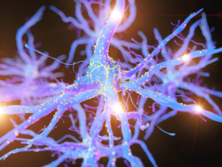 3d rendered, medically accurate illustration of an active nerve cellの写真素材