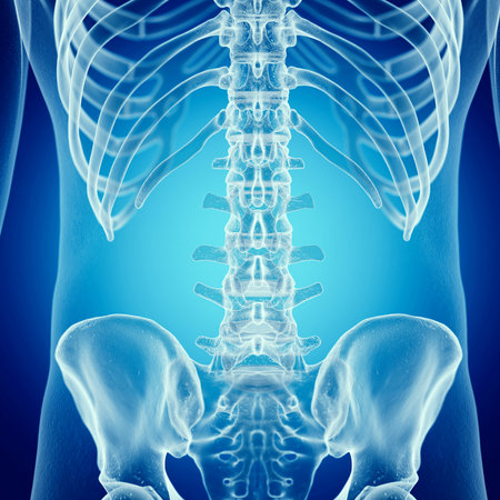 3d rendered medically accurate illustration of the lumbar spine