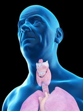 3d rendered medically accurate illustration of an old mans throat anatomyの写真素材