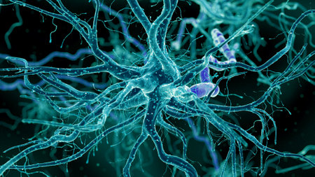 3d rendered medically accurate illustration of a human nerve cell