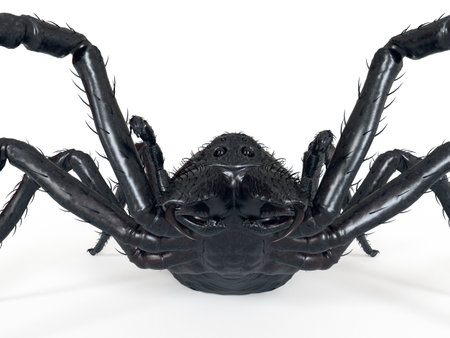 3d rendered illustration of a giant spider