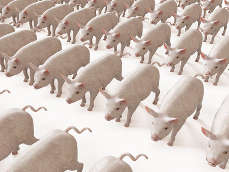 3d rendered illustration of a lot of pigsの写真素材