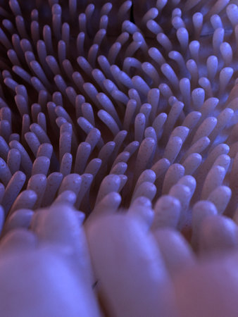 3d rendered medically accurate illustration of healthy intestinal villies