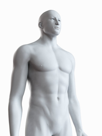 3d rendered medically accurate illustration of a grey male bodyの写真素材