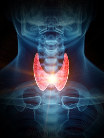 3d rendered medically accurate illustration of a painful thyroid glandの写真素材