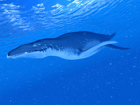 3d rendered illustration of a  Liopleurodonの写真素材