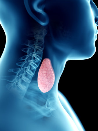 3d rendered medically accurate illustration of a mans thyroid gland