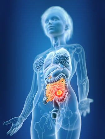 3d rendered medically accurate illustration of a females small intestine
