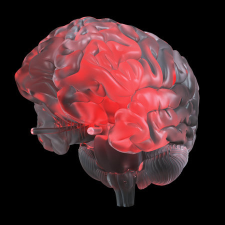 3d rendered medically accurate illustration of a red glowing glass brainの写真素材