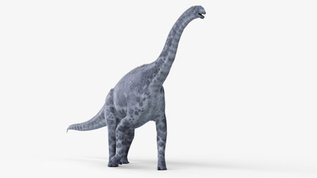 3d rendered illustration of a cetiosaurusの写真素材