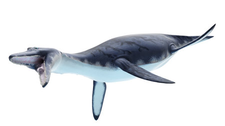 3d rendered illustration of a dolichorhynchopsの写真素材
