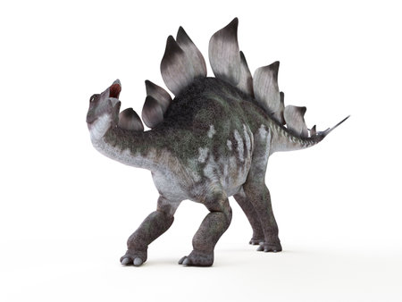 3d rendered illustration of a stegosaurusの写真素材