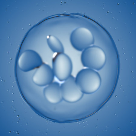 3d rendered medically accurate illustration of a megakaryocyte