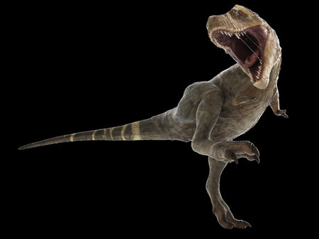 3d rendered illustration of a T-rex on black backgroundの写真素材